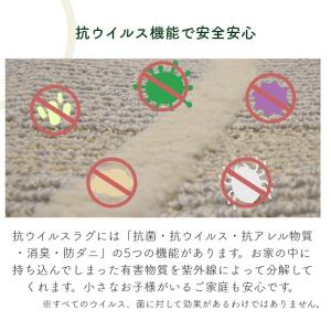 ラグマット 洗える 抗菌 抗ウイルス 小さなお...の詳細画像3