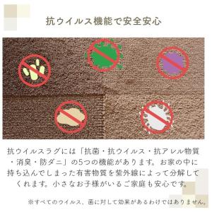 ラグマット 洗える 抗菌 抗ウイルス 小さなお...の詳細画像3
