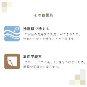 ラグマット 洗える 抗菌 抗ウイルス 小さなお...の詳細画像4