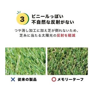 人工芝 ロール 1m×10m 芝丈25mm 芝...の詳細画像5