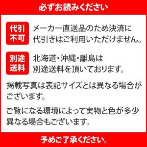 ラグマット ウィルトン織ラグマット ボランジェ...の詳細画像5