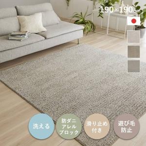 IKEA/イケア/通販】VINDUM ヴィンドゥム ラグ パイル長