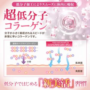 プラセンタ ツヤ 若々しく サプリ サプリメン...の詳細画像4