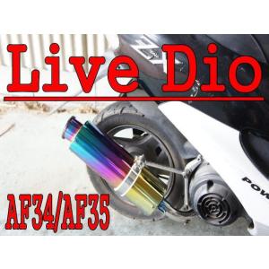 ライブディオZX ライブディオSR AF34 AF35 ステンレス マフラー