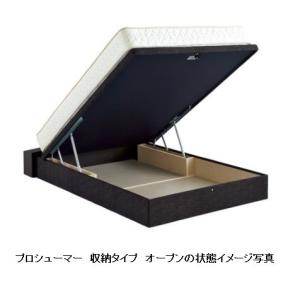 ドリームベッド [開梱設置送料無料] ベッドフレーム ECORAL279