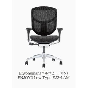 エルゴヒューマン（Ergohuman） 高機能メッシュオフィスチェア