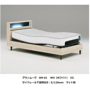 [開梱設置送料無料] Granz (グランツ) 電動セミダブルベッド グランムーブ GM-01 専用マットレス有 (マイルド/レギュラー/ハード) 材質：オーク柄 2色対応