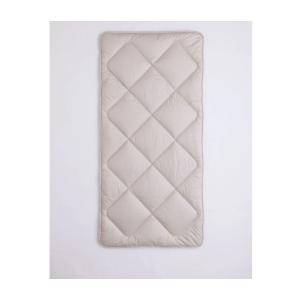 イワタ製 (IWATA) 国産 キャメルパッド レギュラータイプ DE-CP107-550/550 ...