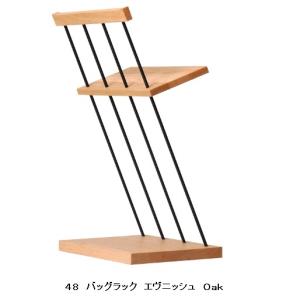 レグナテック 48バッグラック エヴニッシュ ...の詳細画像1