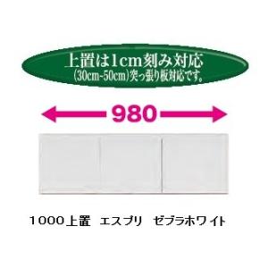 国産大川製 1000上置 エスプリ 前板50色対応 耐震ラッチ付 高さ30cm〜50cm（1cm刻み...