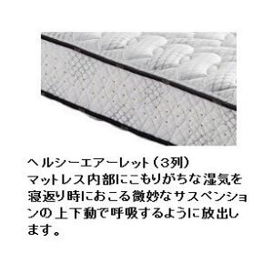 [開梱設置送料無料/レビュー特典有] ポケット...の詳細画像4
