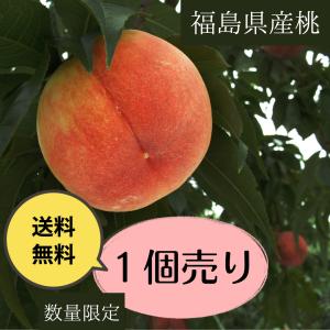 桃 送料無料 ばら売り 1個 福島県産 お１人様５個まで