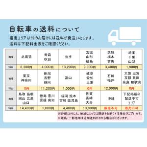 完成品 組立済 パウ・パトロール パウパト 子...の詳細画像4