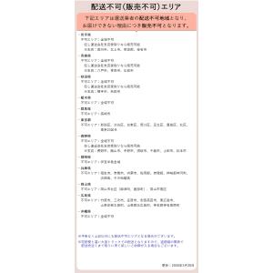 完成品 組立済 パウ・パトロール パウパト 子...の詳細画像5