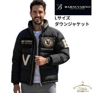   ダウンベスト ブラック S/P STUDIOUS ダウンベスト ベスト プラスフェニックス ゴアテックス