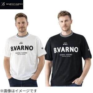 バーニヴァーノ・ギザンティシルケット天竺 サガラ刺繍 長袖Tシャツ(3L