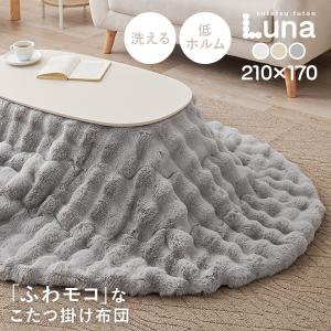 HAGiHARA（萩原） こたつ布団 楕円形 こたつ薄掛け布団 170×210cm