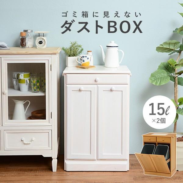 ダストボックス 分別 おしゃれ キッチン ごみ箱 分別 ゴミ箱 2分別ダストボックス 15L×2個