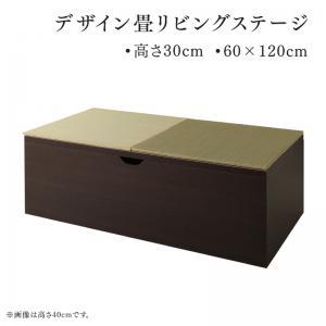 日本製 収納スツール 収納付き畳スツール デザイン畳リビングステージ 畳ボックス収納 60×120cm ロータイプ 国産 和室｜f-syo-ei