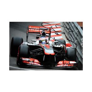 2023 角田裕毅 アルファタウリ 直筆サイン入 ドライバーズカード