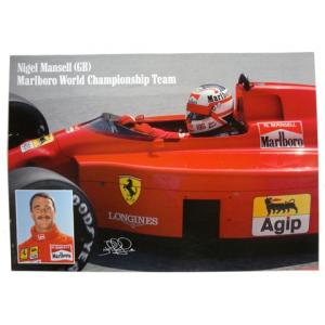 2023 角田裕毅 アルファタウリ 直筆サイン入 ドライバーズカード