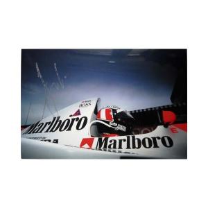 2023 角田裕毅 アルファタウリ 直筆サイン入 ドライバーズカード