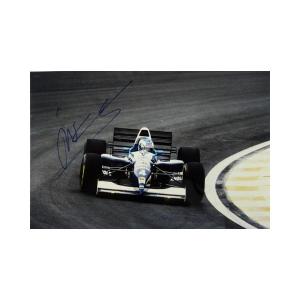 2023 角田裕毅 アルファタウリ 直筆サイン入 ドライバーズカード