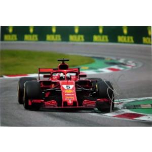 2026 ウィリアムズ 日本限定 ベアキーリング : レボリューション