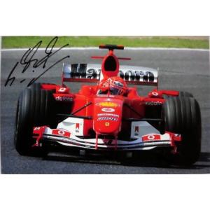 2023 角田裕毅 アルファタウリ 直筆サイン入 ドライバーズカード