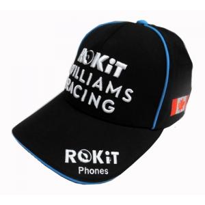 2023 角田裕毅 アルファタウリ 直筆サイン入 ドライバーズカード