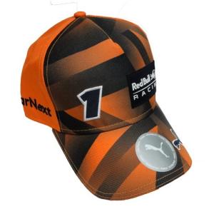 2022 角田裕毅 アルファタウリ 直筆サイン入 ドライバーズカード