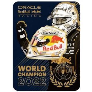 2022 角田裕毅 アルファタウリ 直筆サイン入 ドライバーズカード