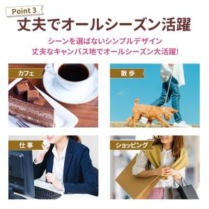トートバッグ ミニ レディース 手提げ ショル...の詳細画像5
