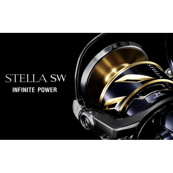 シマノ  20 ステラSW 30000