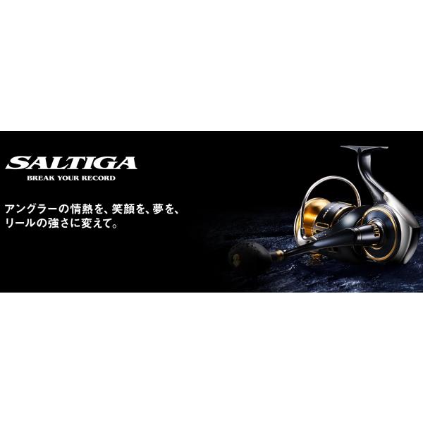 ダイワ 25ソルティガ 18000-H