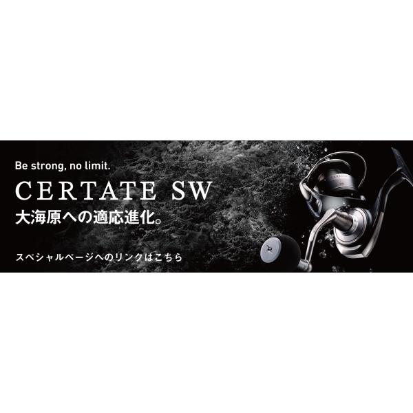 ダイワ 24セルテート SW 4000-XH