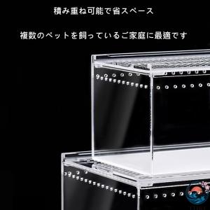 爬虫類 ケージ レプタイルボックス 両生類用飼...の詳細画像5