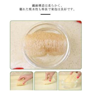 ヘチマスポンジ 多機能 3個入り ヘチマたわし...の詳細画像4