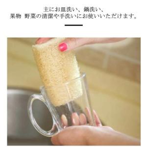 ヘチマスポンジ 多機能 3個入り ヘチマたわし...の詳細画像5