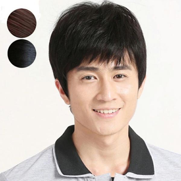 男性 ダークブラウン 爽やか カツラ メンズ 紳士 父の日 黒髪 ウィッグ フルウィッグ 増毛 ミデ...