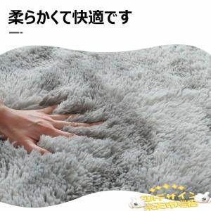 トイレ マット 3点セット ふわふわ フタカバ...の詳細画像1