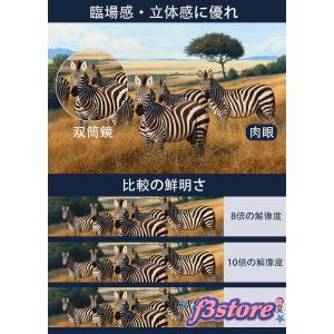 双眼鏡 ライブ用 20倍 オペラグラス 防振 ...の詳細画像5