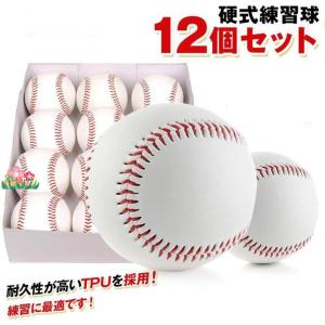 NAGASE KENKO（ナガセケンコー） 硬式野球ボール MODEL9KSY ケプラー