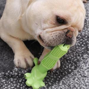 犬用 噛む おもちゃ 犬 歯ブラシ かむ玩具 ...の詳細画像1
