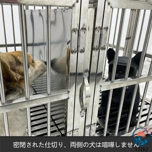 テンレス製の 犬用 ケージ 2匹の犬が喧嘩しな...の詳細画像2