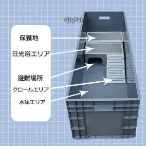 亀飼育用水槽 カメ用水槽 爬虫類繁殖 ボックス...の詳細画像2