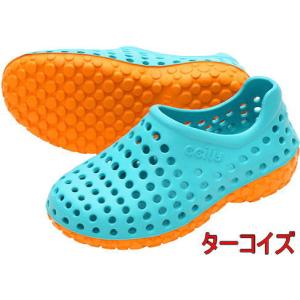 チル アマゾン ccilu AMAZON PH...の詳細画像1