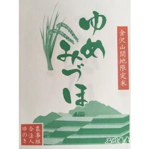 新米 玄米 30kg 滋賀県東近江産 みずかがみ 諏訪一男 令和7年産 環境