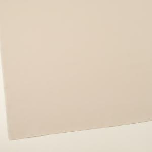 レーヨン&コットン×無地(アイボリー)×ポプリ...の詳細画像1