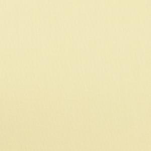 【アウトレット】コットン×無地(クリームイエロー...の商品画像